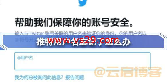 推特用户名忘记了怎么办？（Twitter用户名找回方法）